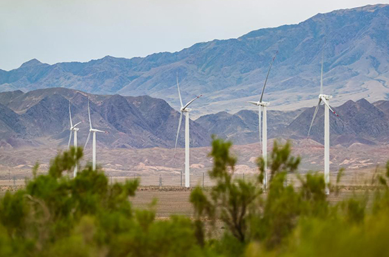 World Earth Day: Guard the Gre